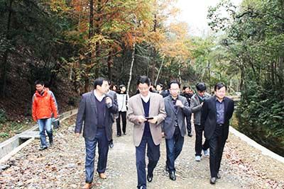 安徽省省、市政協(xié)委員視察六百里猴魁公司野茶谷.jpg